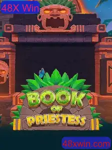 Explorando o Mundo de BookOfPriestess: 48X Win e suas Intrigantes Regras